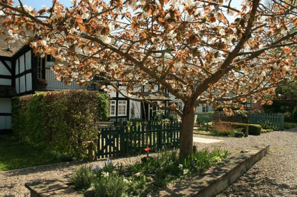 Peel Cottage, Dilwyn Δωμάτιο φωτογραφία